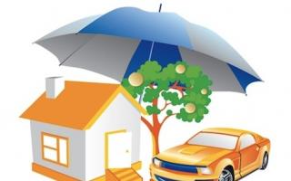 Правила страхования движимого и недвижимого имущества Срок действия договора страхования
