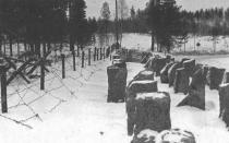Советско-финская война: причины, ход событий, последствия